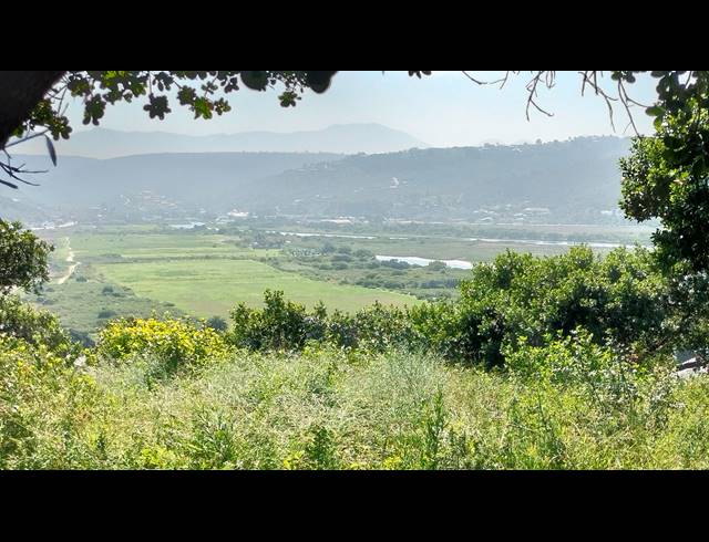 3 BEDROOM FREEHOLD FOR SALE IN BERGSIG